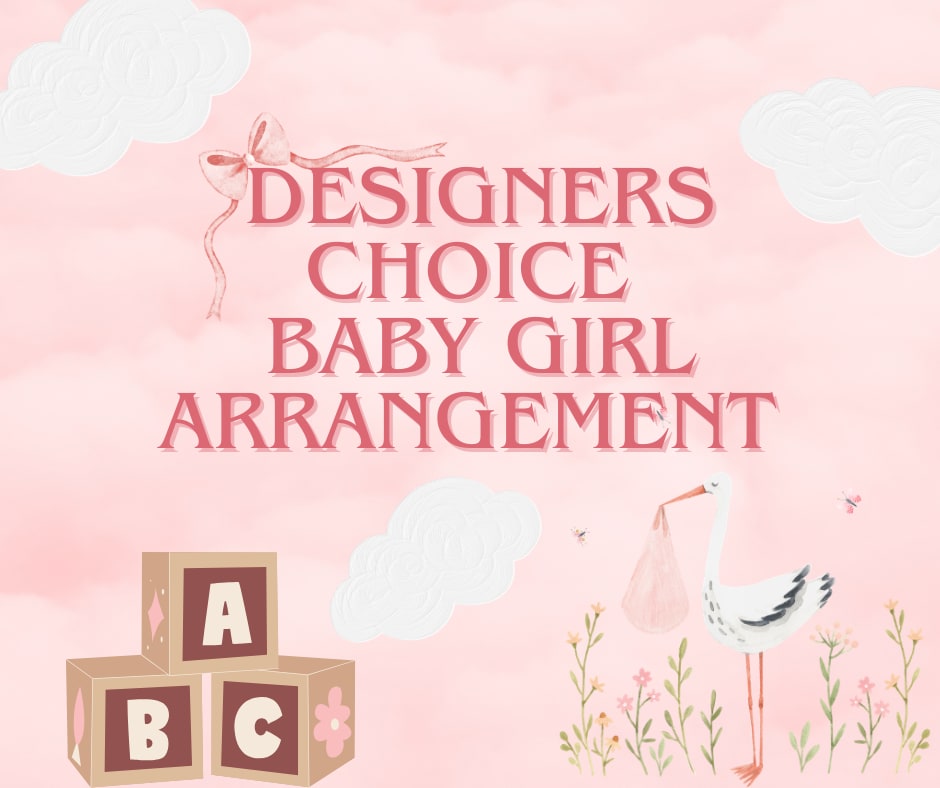 Pink baby girl arrangement graphic with blocks, clouds, and a stork illustration