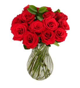 Red roses arranged in a clear glass vase