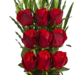 Bouquet of red roses with green foliage