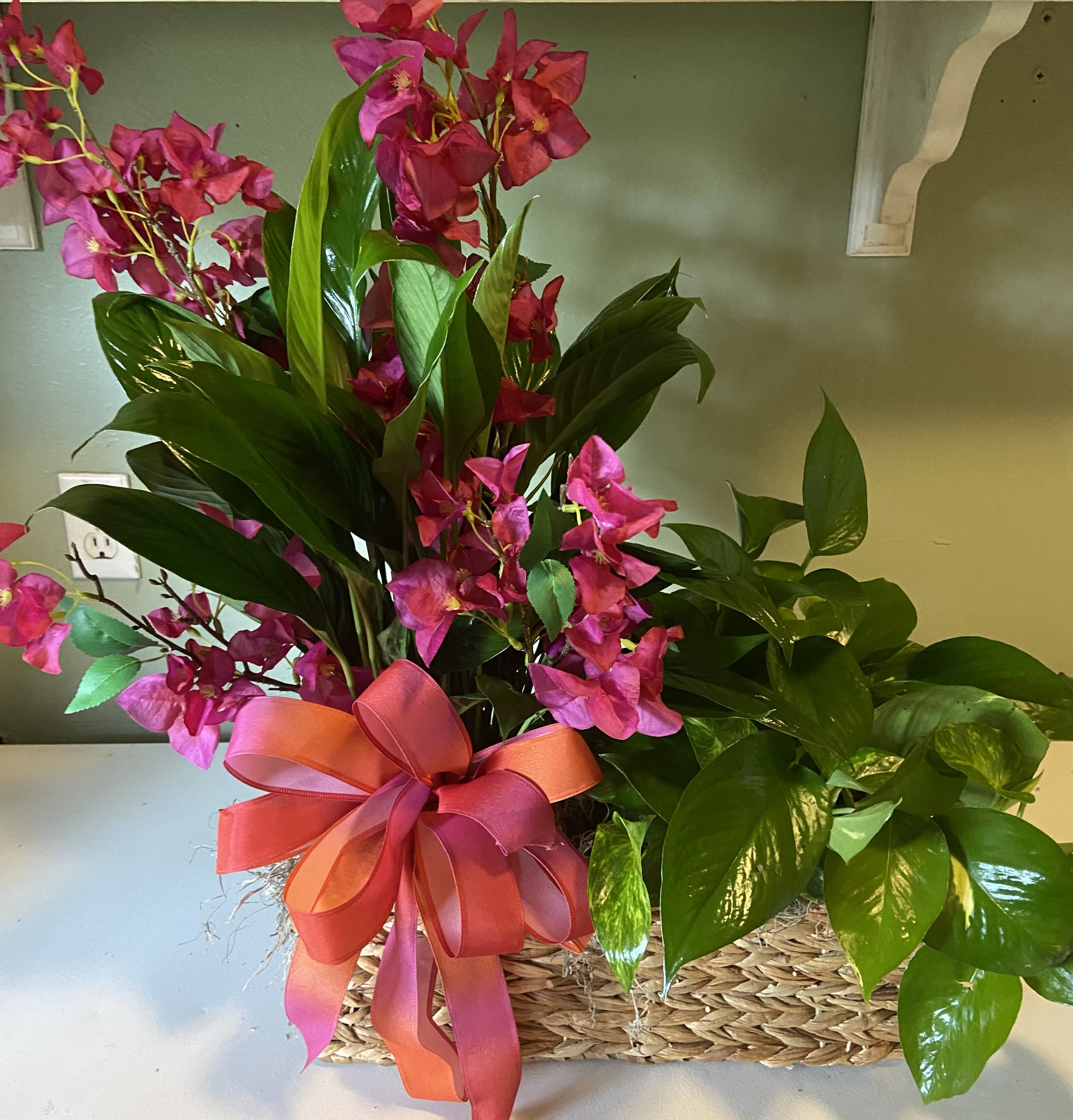 Pink orchid arrangement in a woven basket with a ribbon bow
