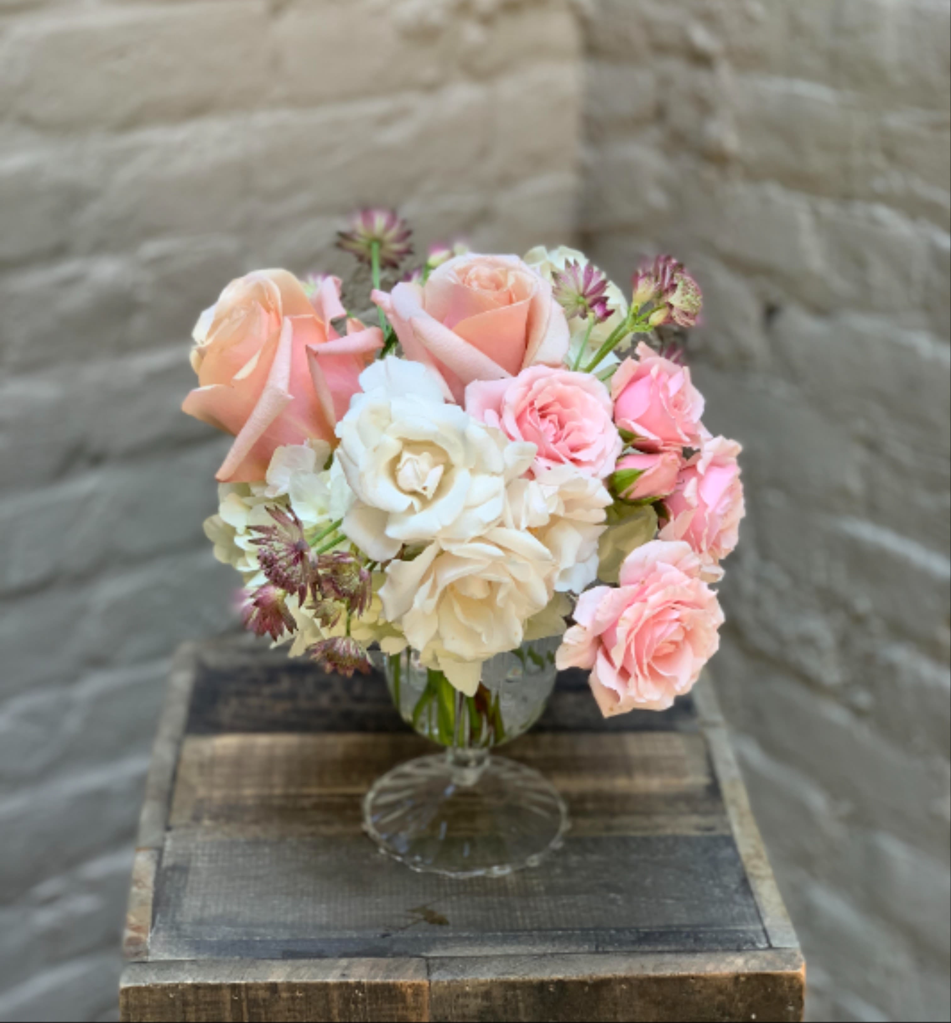 Edelweiss - Soft and dreamy clouds of white hydrangea, roses, and astrantia in an elegant glass compote.  Glass compote measures 6"x3".