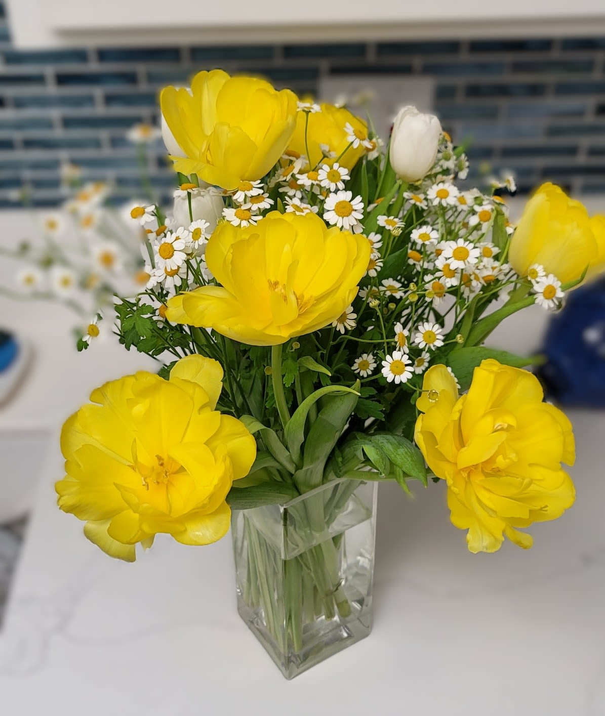 Yellow tulips and white daisies in a clear glass vase
