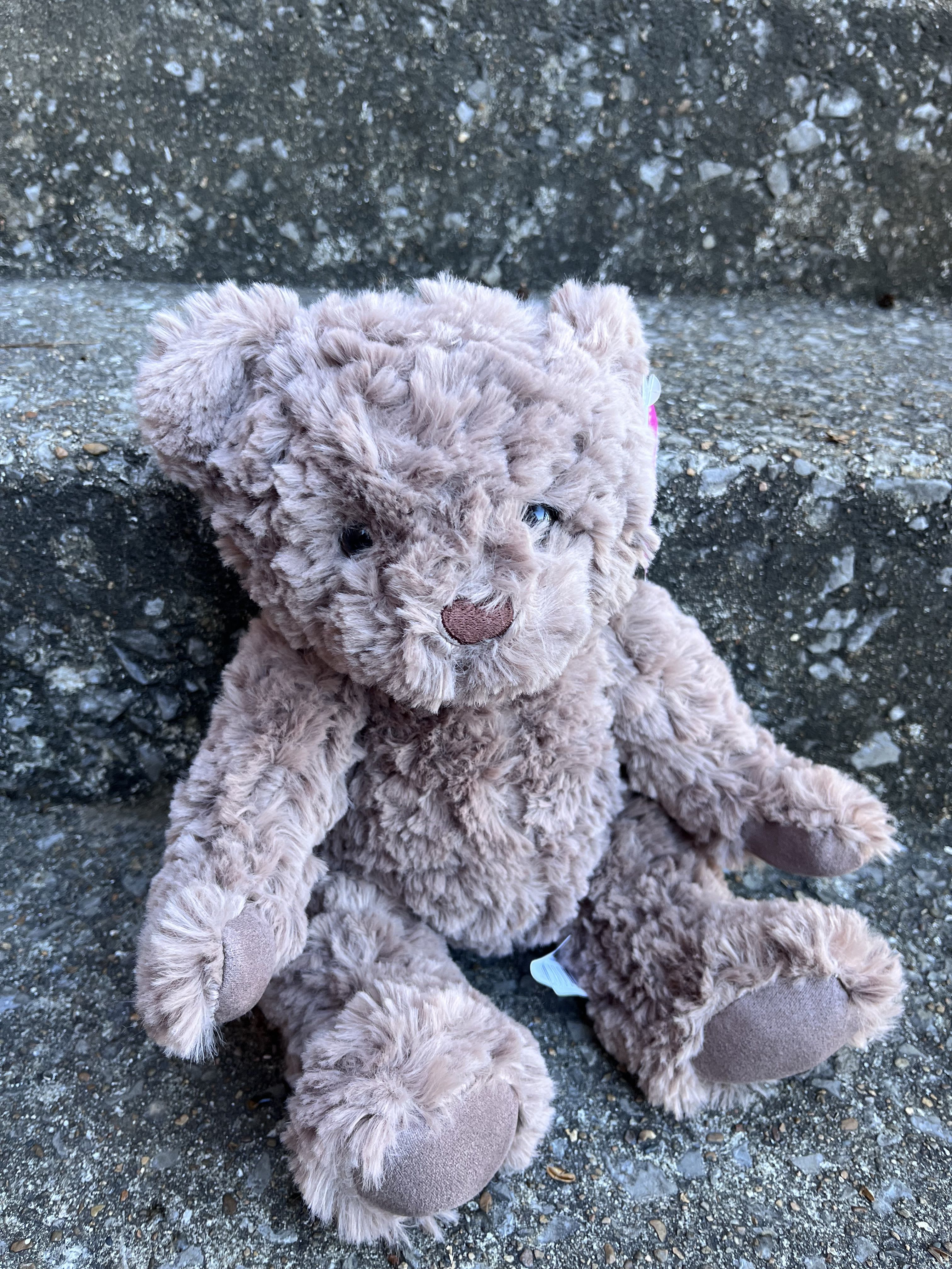 Dark Brown Bear  - This beak is incredibly soft and adorable!! It’s a wonderful gift to show someone you love them. 
