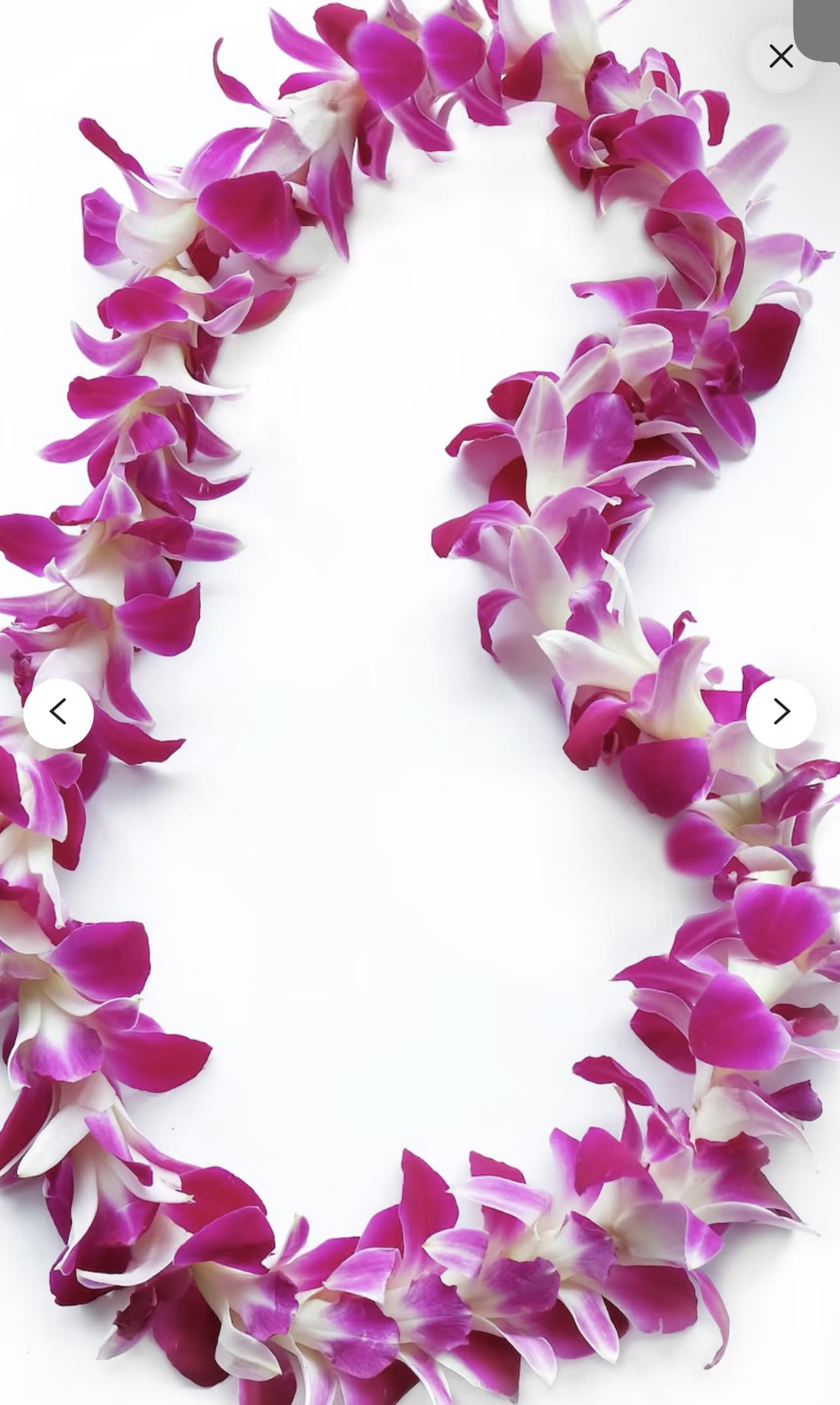 Pink and white orchid lei on a white background