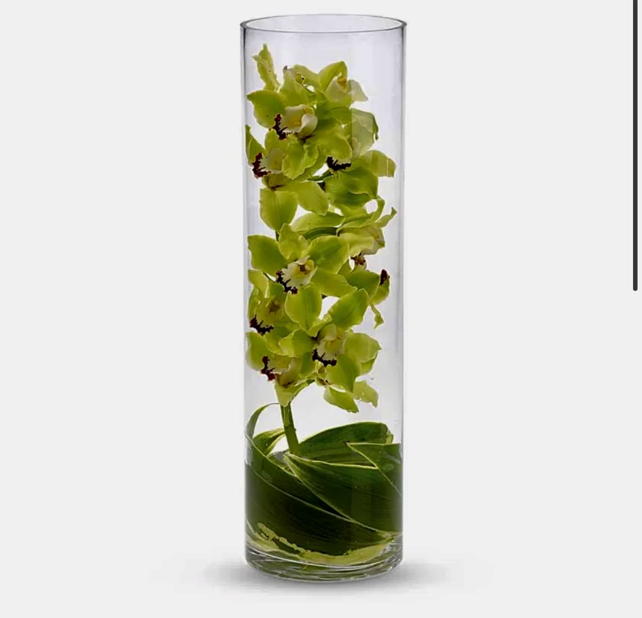 Orchids under the water  - Tall Orchid steam - swathed in ti leaves and presented in a clear glass cylinder - is simplicity perfected . Stunning in a busines setting , and equally lovely at home . 
