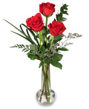 Three red roses in a clear glass vase with greenery