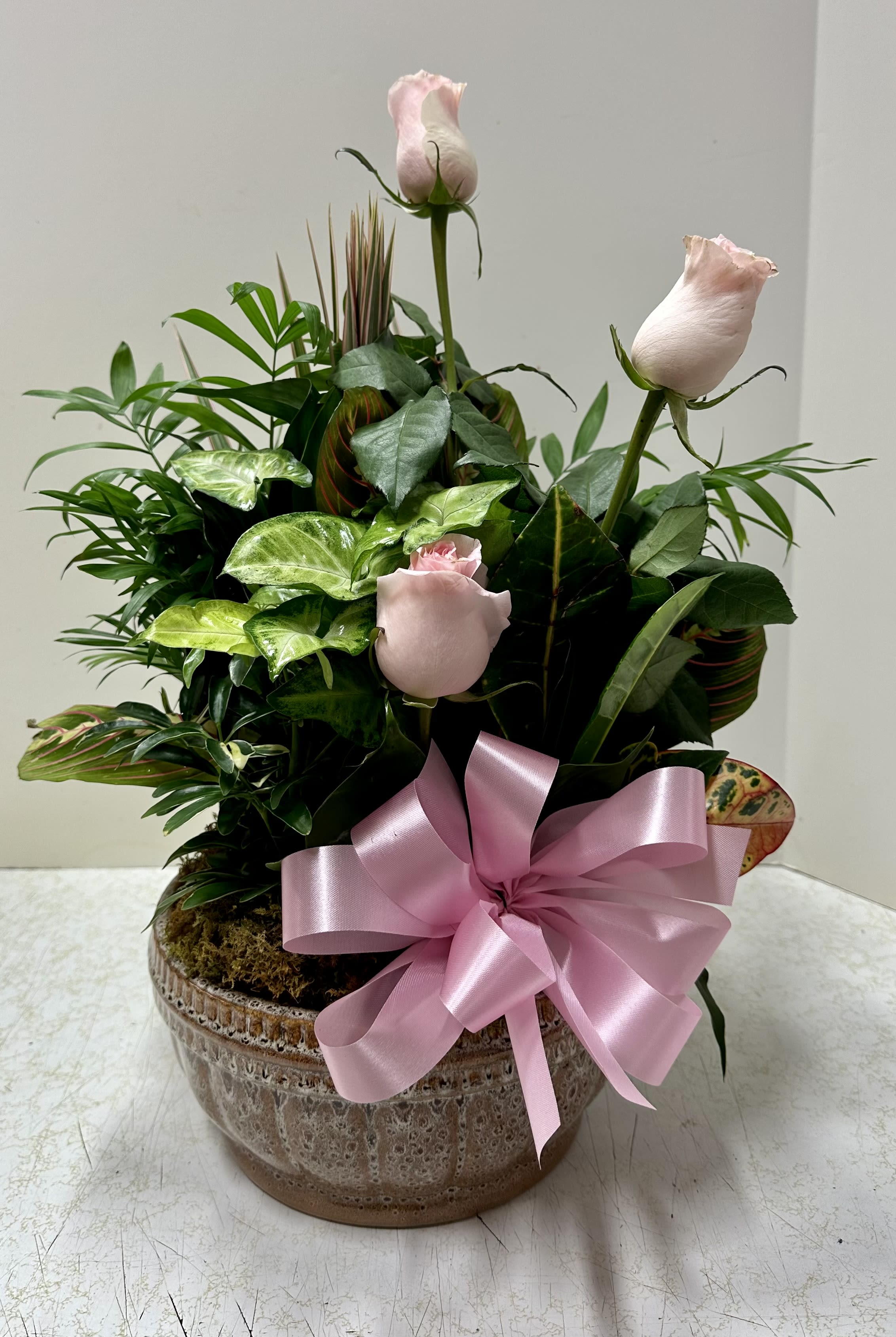 Potted arrangement with pale pink roses and a large pink ribbon