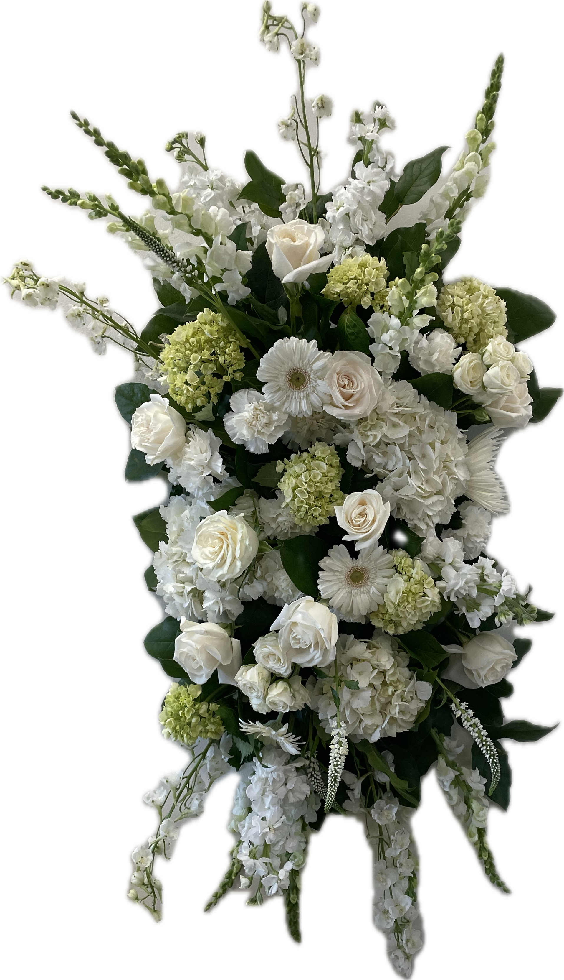 Pure Remembrance Standing Spray - An all white tribute, this funeral spray is pure and tranquil. Featuring a variety of white flowers and premium greens, this elegant funeral spray brings a feeling of peace to it's surroundings. This arrangement is thoughtfully designed using the freshest flowers available for the season. While the overall look and palette will be honored, specific flowers may vary. Advance notice is requested for funeral arrangements due to the scale of these designs.