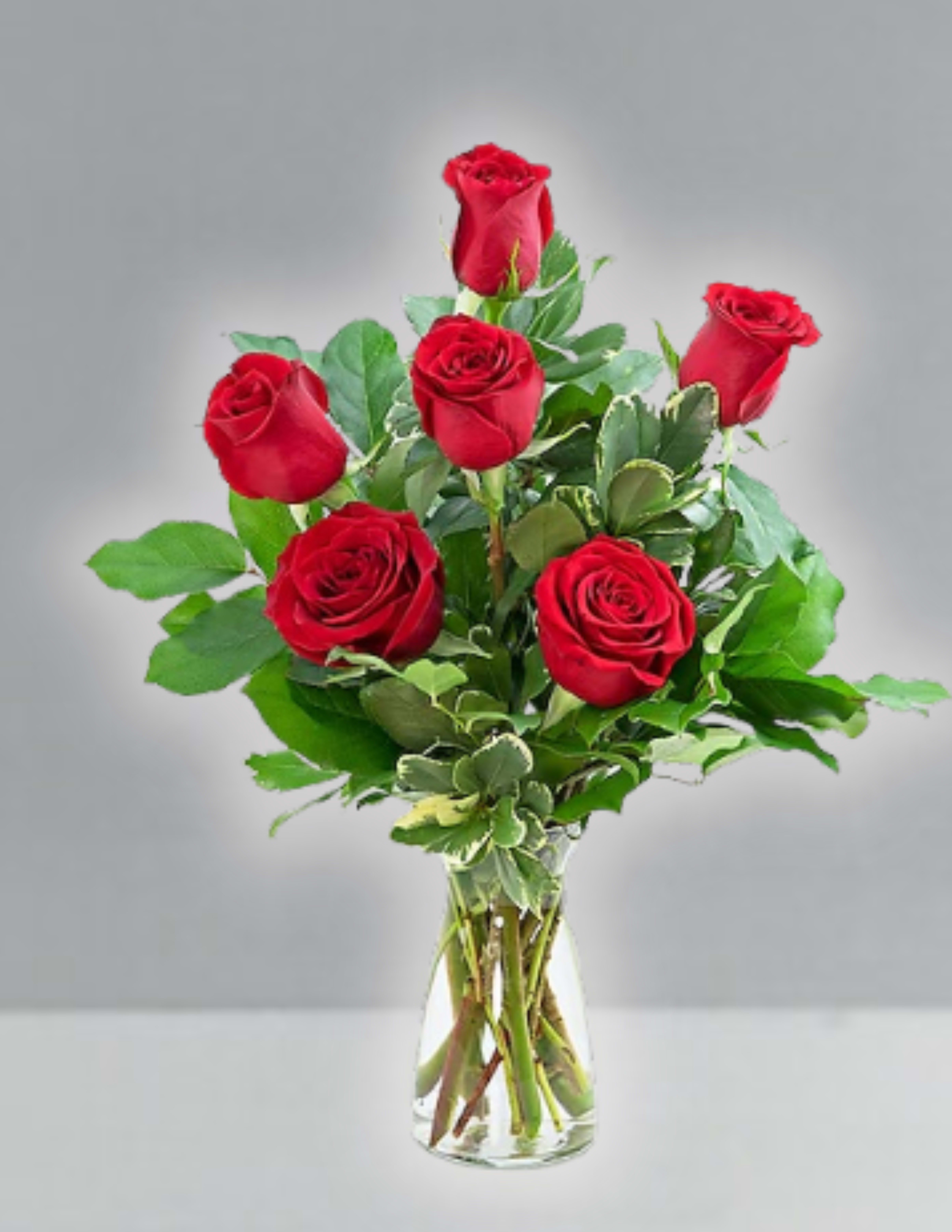 Half dozen red roses - Classic half dozen red roses and greenery.