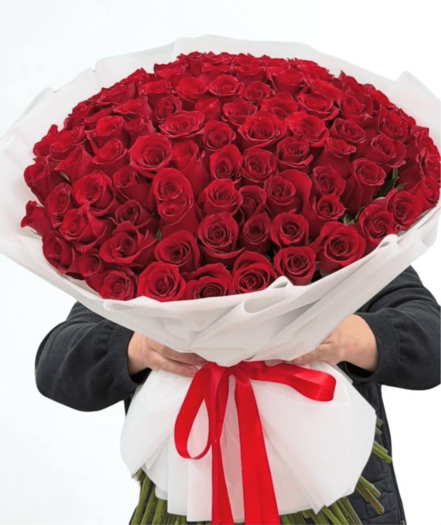 Burgundy Crush 100 Red Roses - A massive bouquet of 100 classic red roses  bold, romantic, and impossible to ignore. Wrapped in crisp white luxury paper with a red ribbon for that clean, modern finish. Perfect for anniversaries, proposals, birthdays, or when you want to say “I mean it” without writing a novel.  Includes: 100 red roses + premium wrapping Note: Rose size may vary slightly by market, but the look stays full and dramatic.
