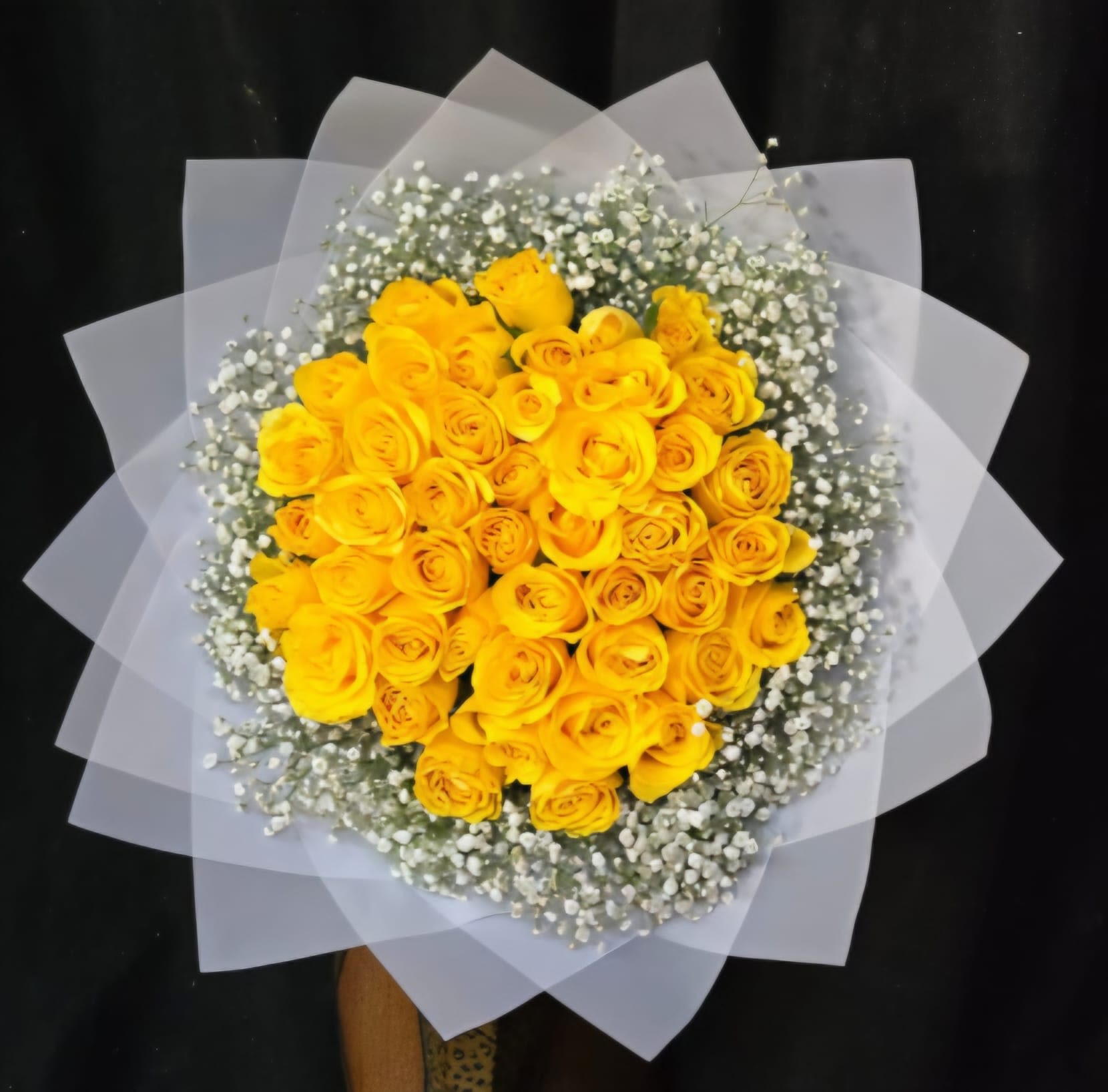 Sunny - Buchon Yellow