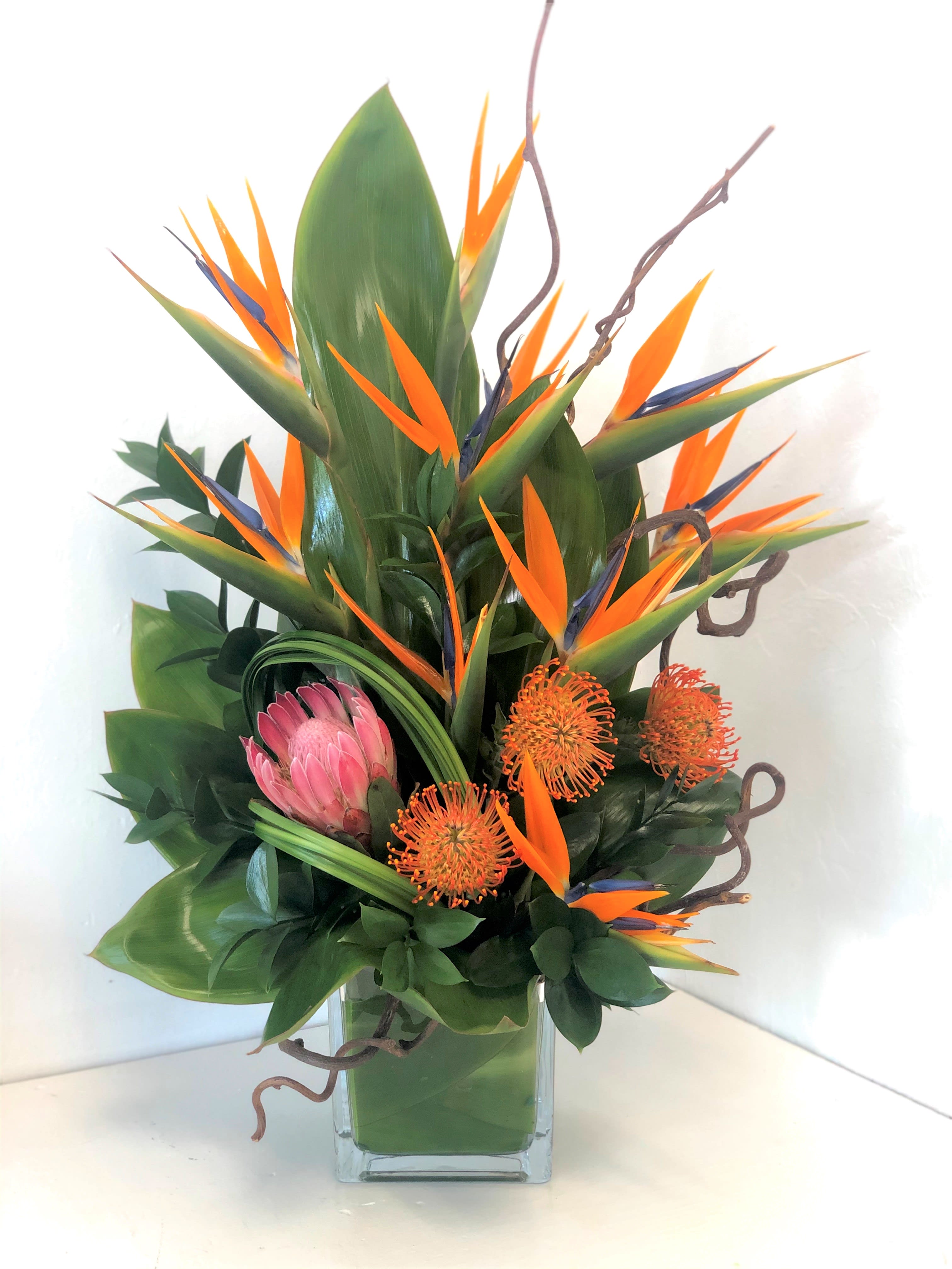 Tropical flower arrangement with orange bird of paradise and pink protea in a glass vase