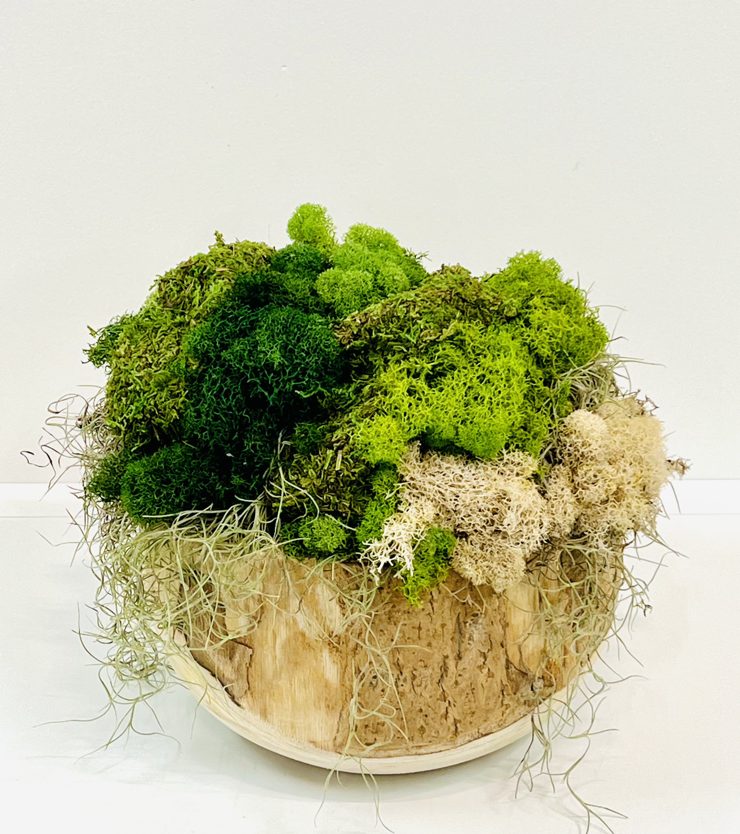 Yucca and Moss - Natural Kua Bowl with peeks and valleys  of a variety of Moss.  
