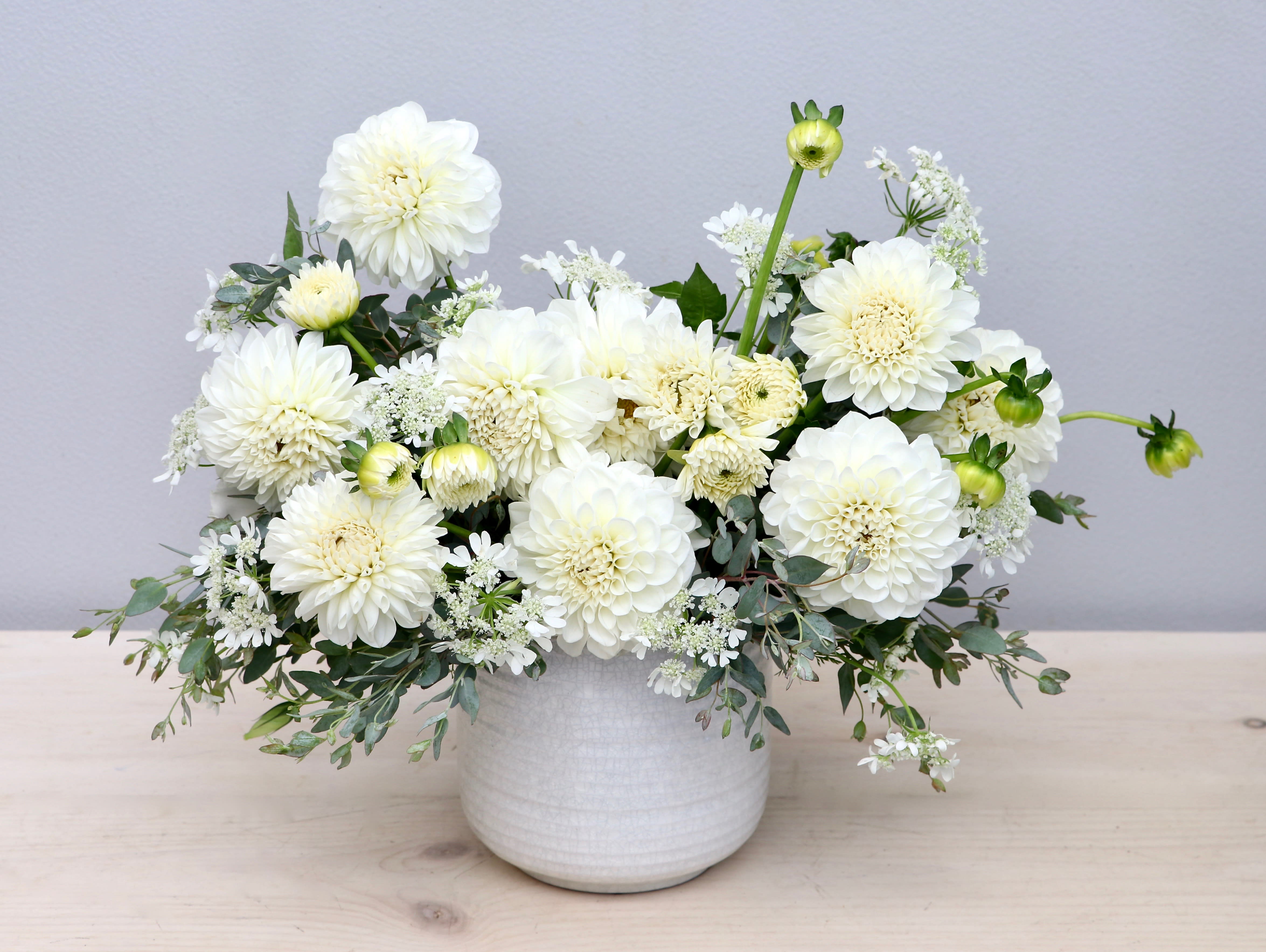 Low white arrangement of dahlias and mums in a white ceramic pot