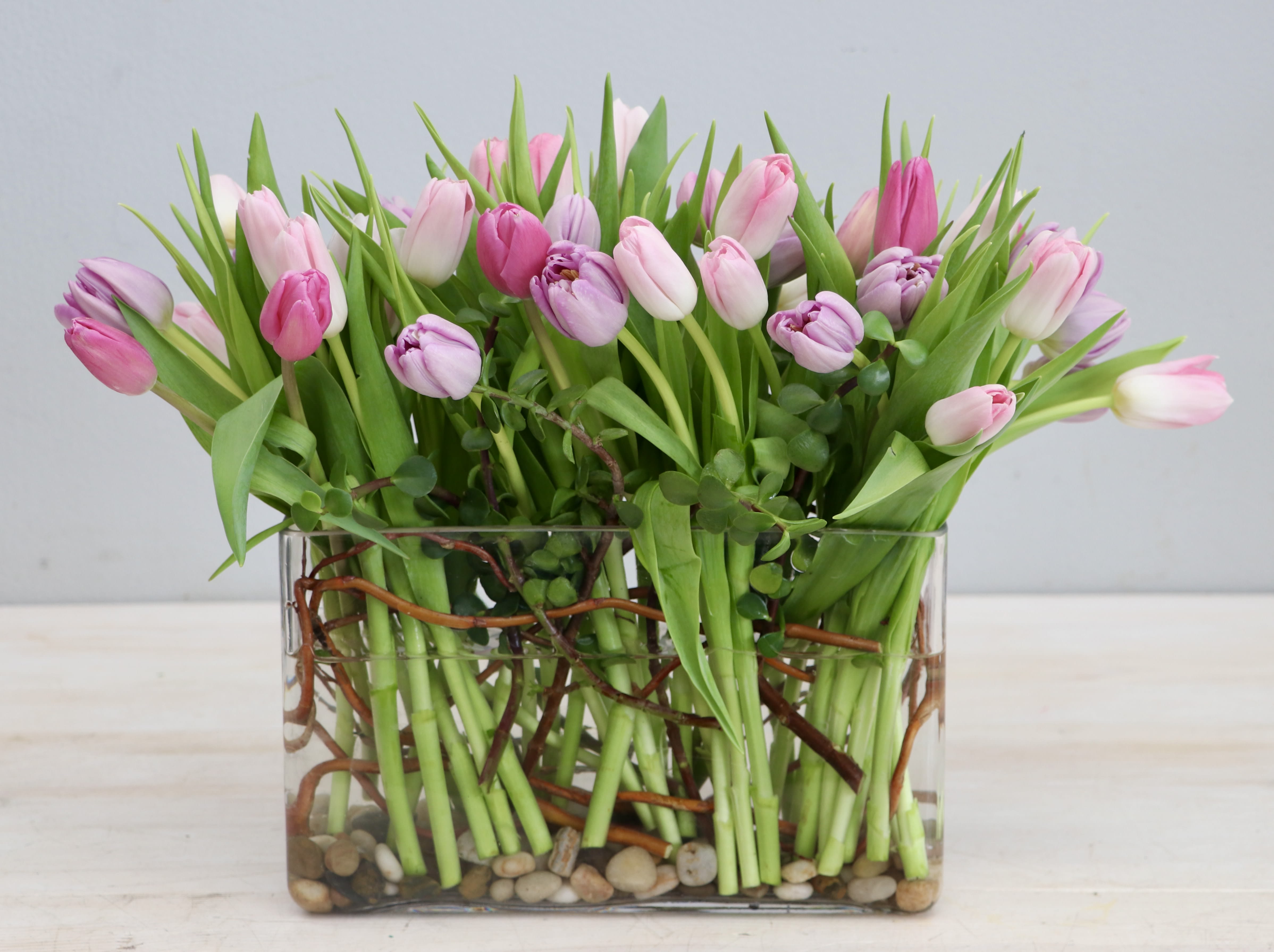 Pink and light purple tulips in a rectangular glass vase with stones and curly branches.