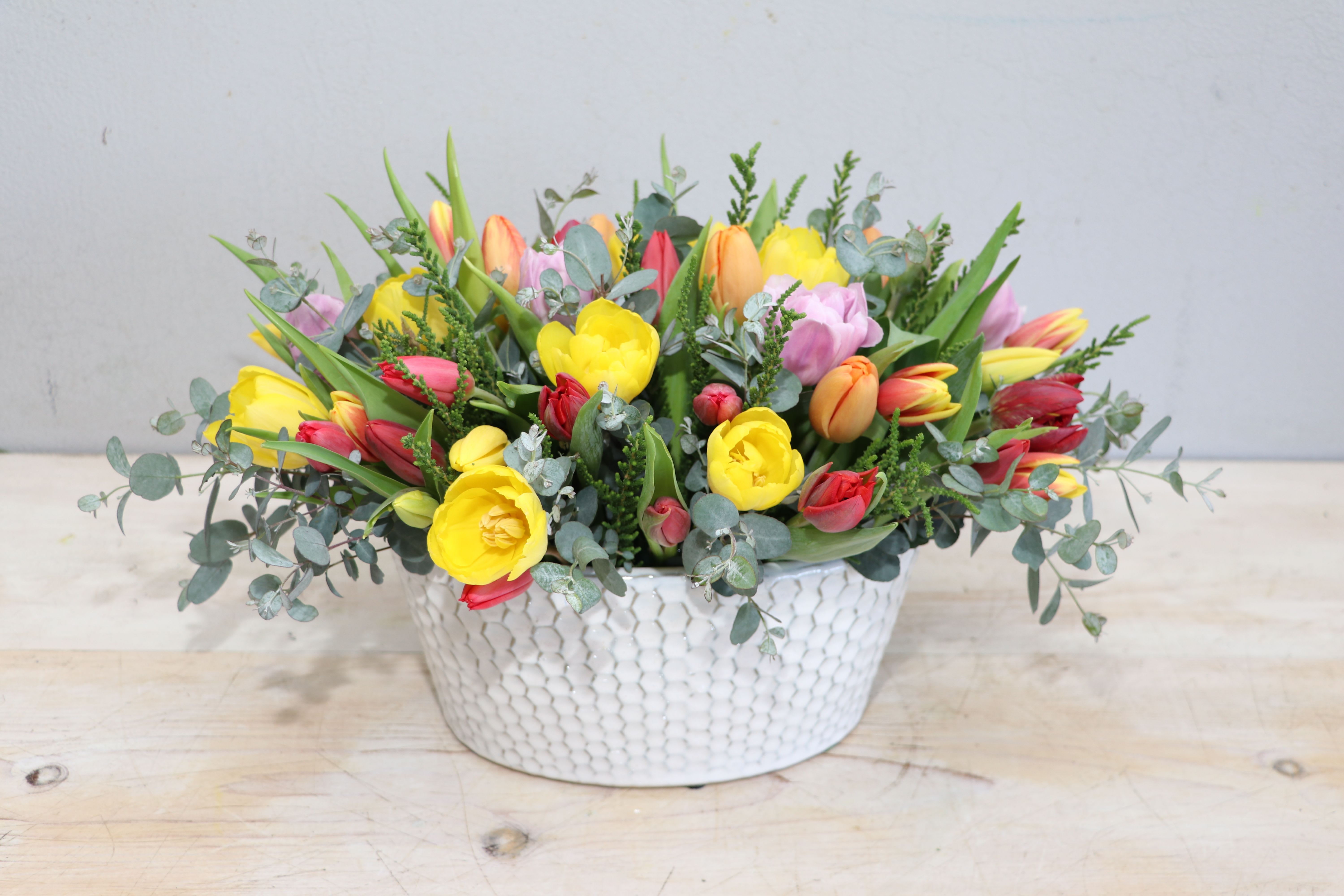 Tulip Gala - Glendale Flowers - This arrangement comes in a white ceramic vase, and mixed tulips. The photo shown is in the standard size, don't forget to upgrade for more blooms! 