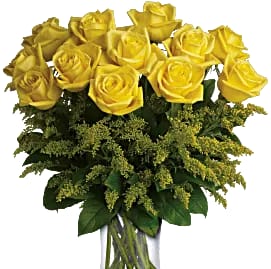 Bright Yellow Roses - Yellow roses will cheer up anyone's day for sure. They are versatile for almost any occasion.  Weekly we get roses fresh from Ecuador here at Kissimmee Florist and quality shows. Show someone how much you care with these beautiful roses.