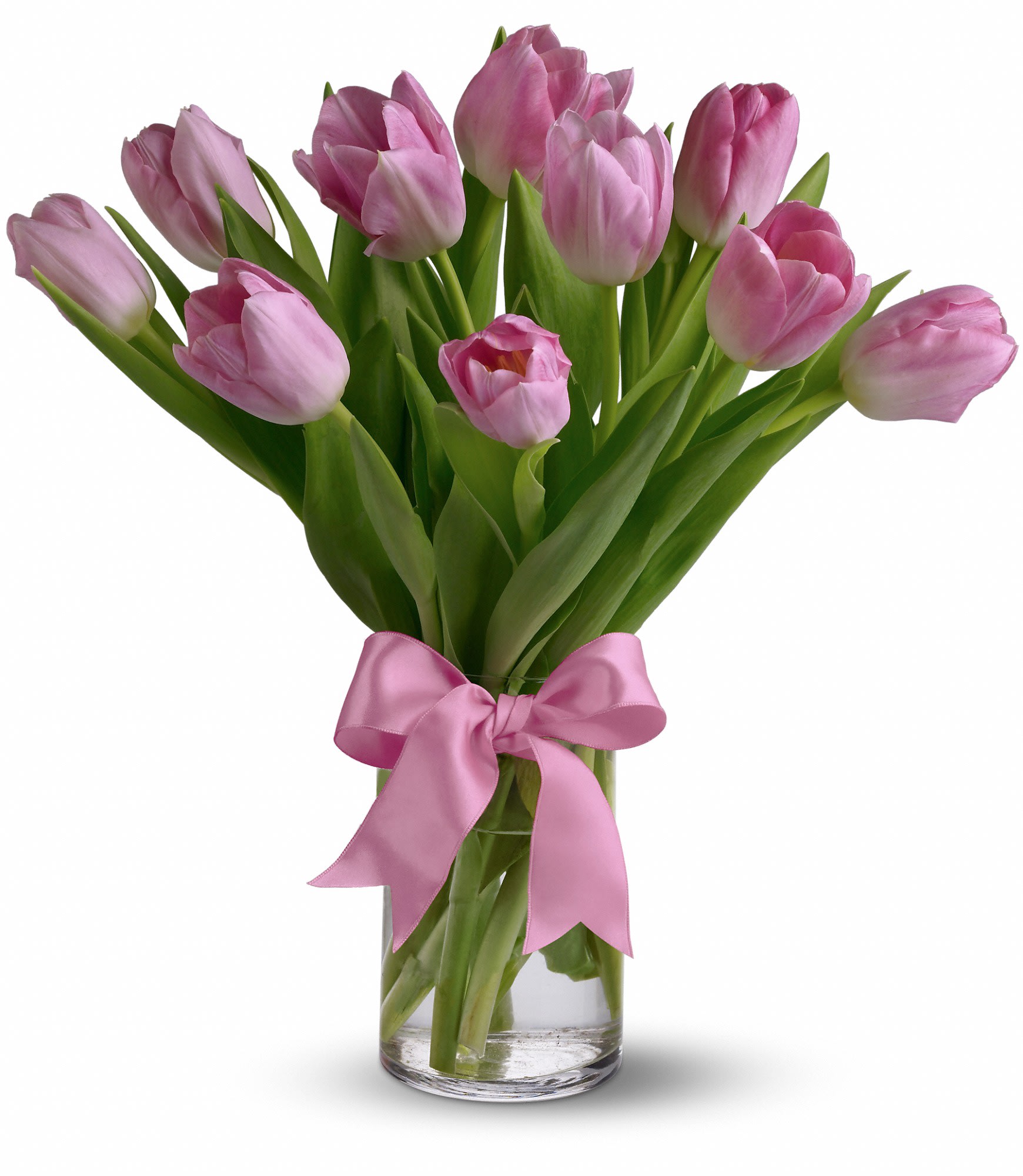 Just Pink Tulips -  10  light pink tulips in a  clea 