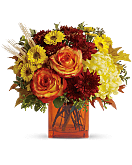  Autumn Expression bouquet - yellow cushion spray chrysanthemums, bi-color orange roses, rust cushion spray chrysanthemums, yellow chrysanthemum and yellow spray chrysanthemums 