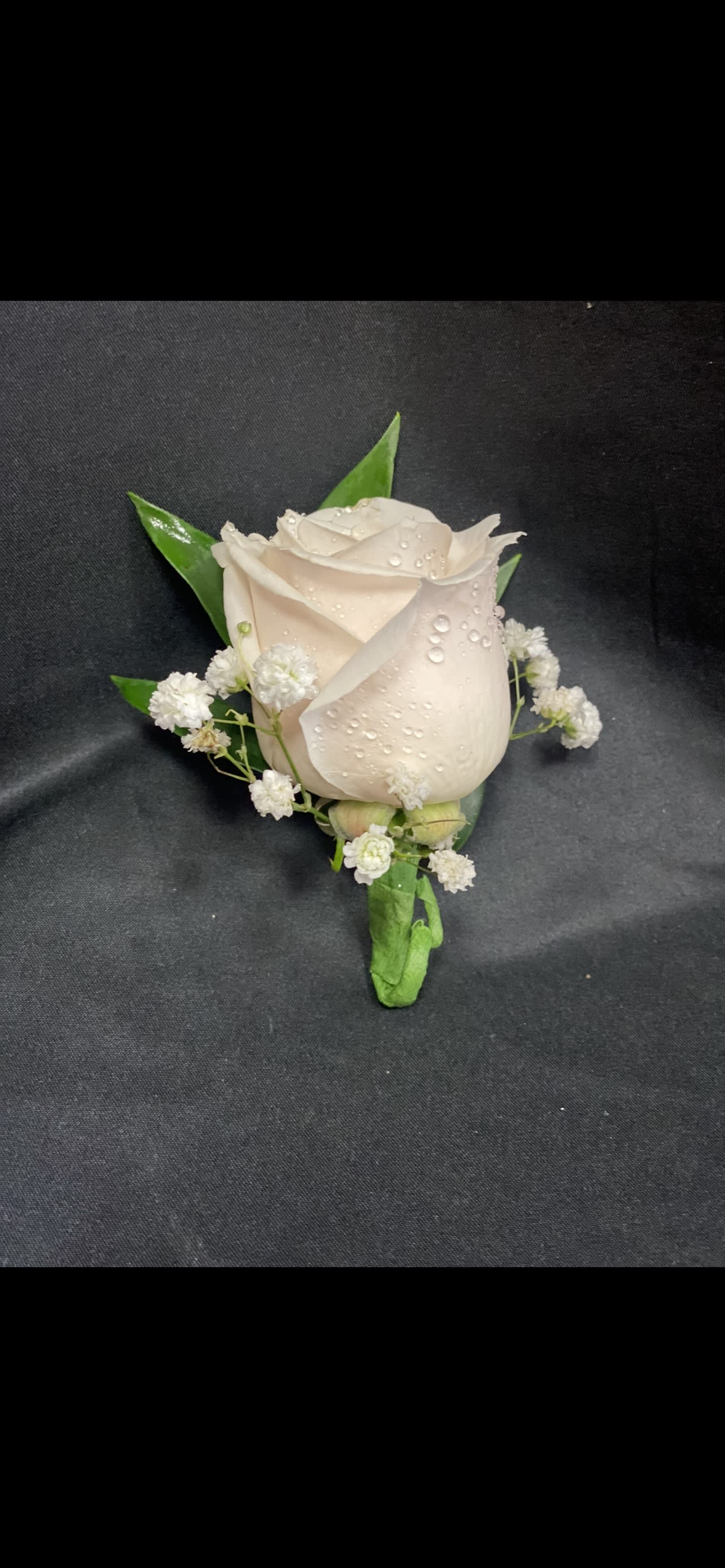 Single pale blush rose boutonniere with small white filler flowers
