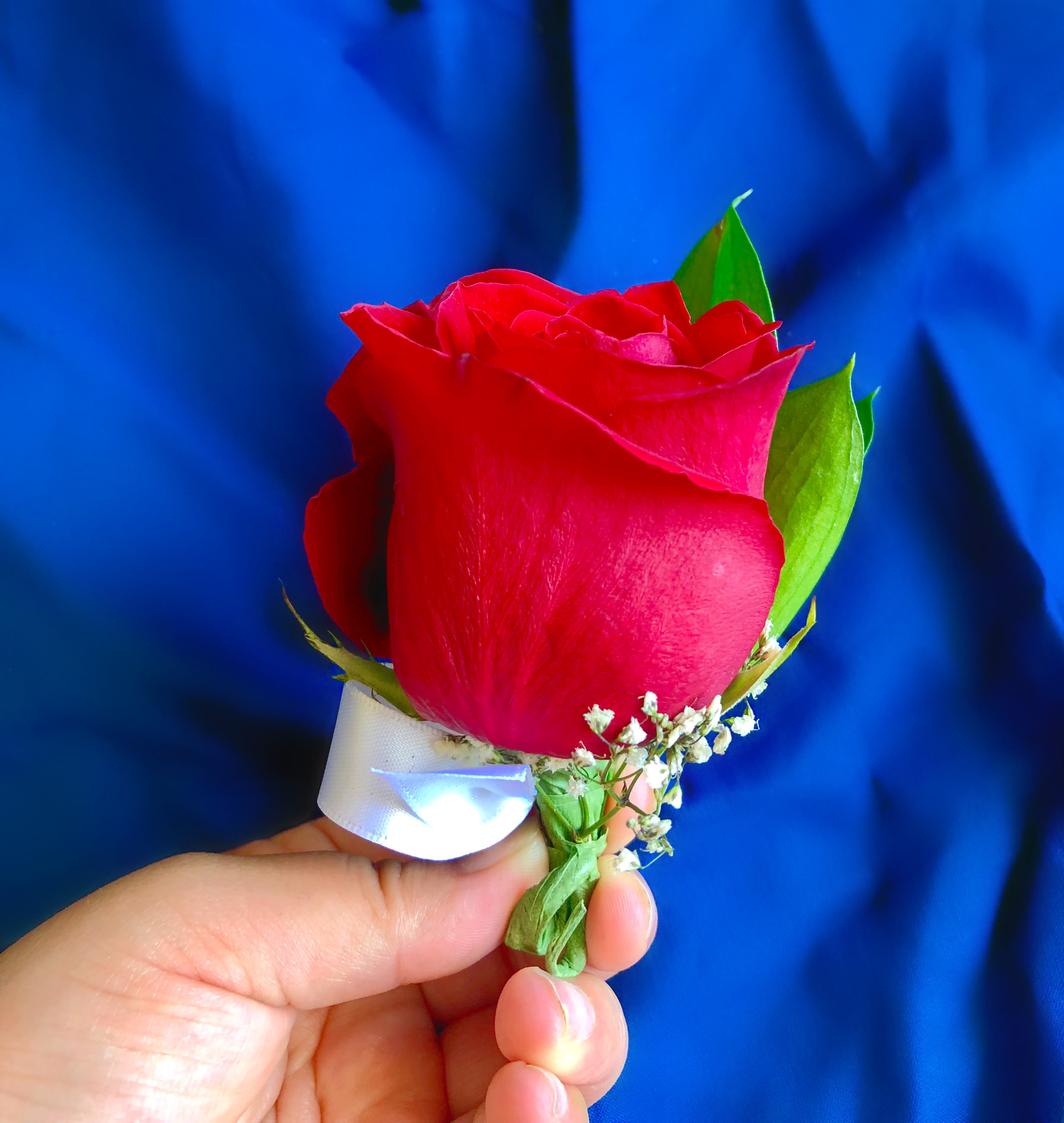 Red rose boutonniere with white ribbon and baby's breath