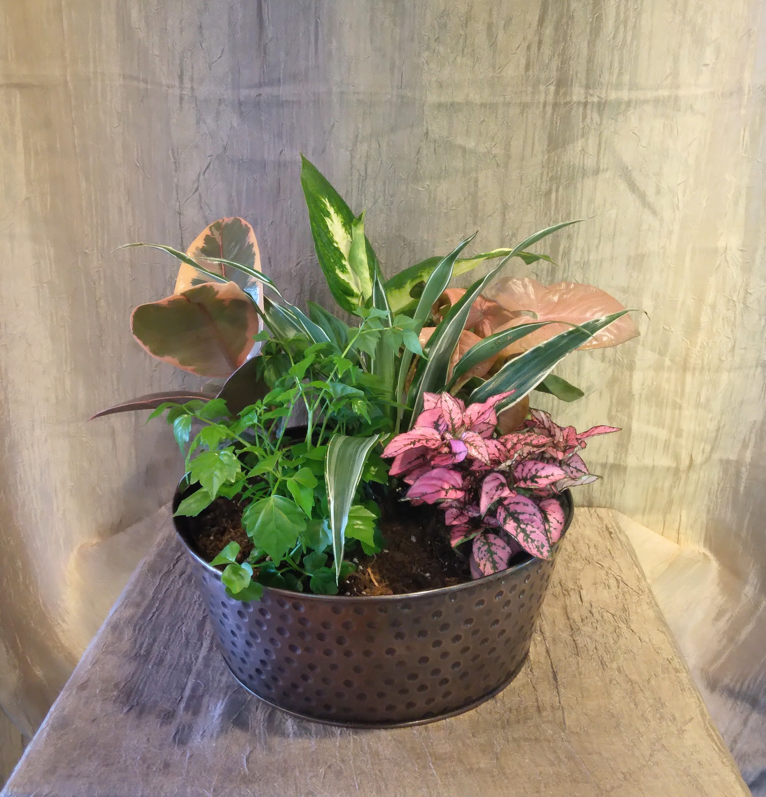 Bronze Planter ~ Flower A Day - This planter is built in an three-sided style, featuring 6 mixed houseplants. (Exact plants may vary).