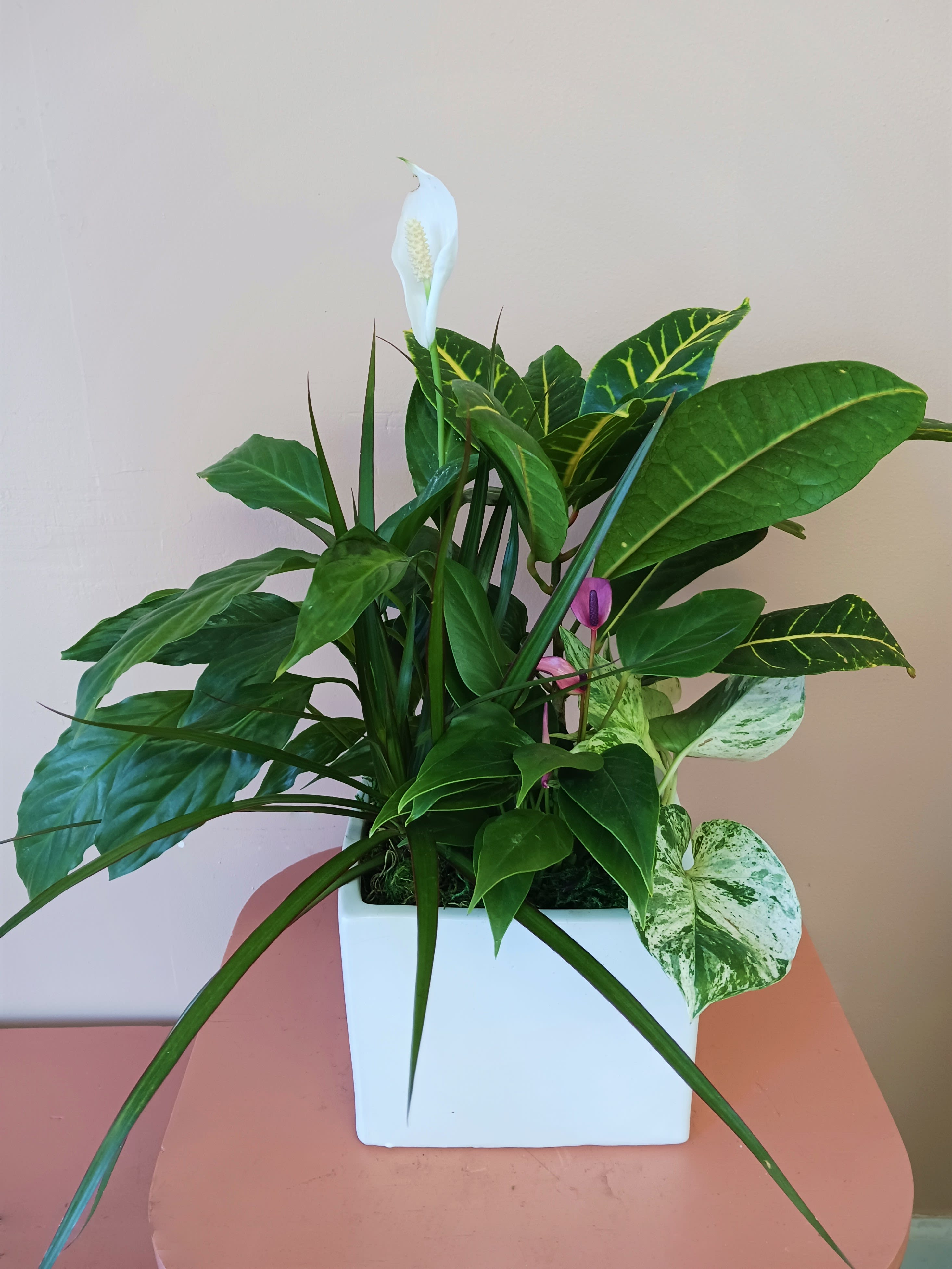 Potted green plant arrangement with a white peace lily bloom