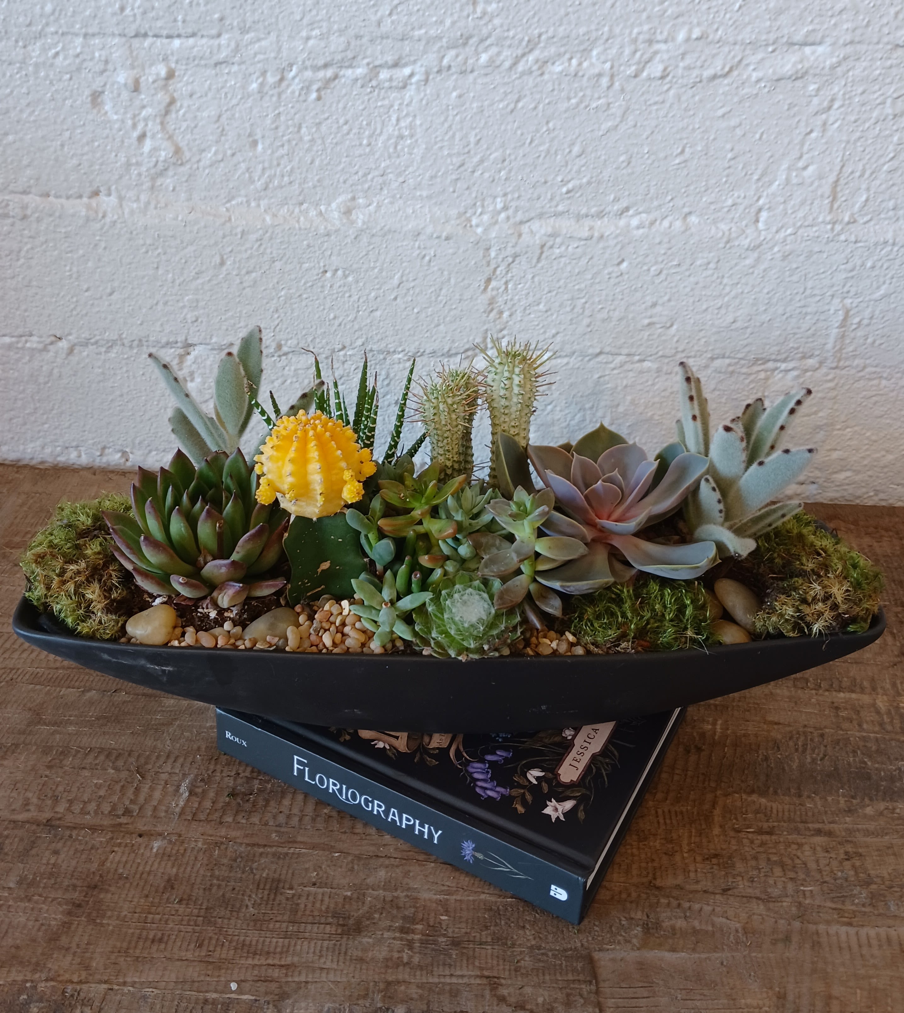 Succulent arrangement in a black shallow planter with pebbles and moss