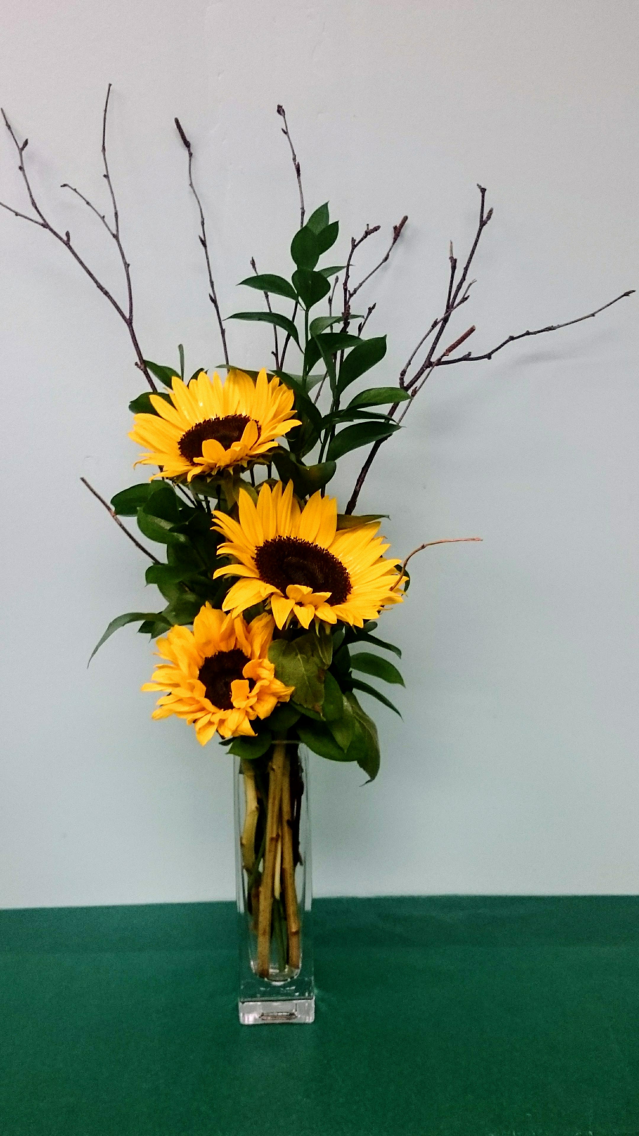 Rays of Sunshine - A gorgeous bright arrangement featuring beautiful Sunflowers, Israeli Ruscus or similar foliage and accented with Birch Branches.