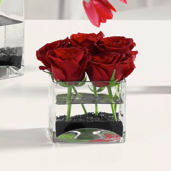 Roses in a Glass Cube - Short and Sweet!! That describes this compact cube of delightful roses.
