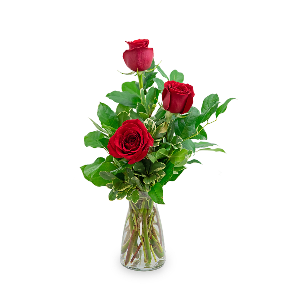 Three Red Roses - Red roses have always been the symbol of love and romance, and continue to be the best way to send your love. Express your feelings with these 3 charming red roses, complemented with premium foliage. Say I love you with this classically simple and romantic gift. 