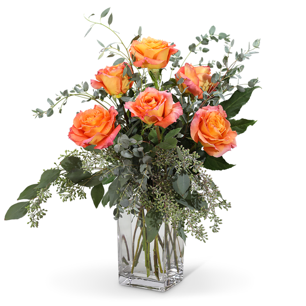Free Spirit Roses (6) - Free Spirit roses know no bounds! They are a long-lasting treat for the senses. Their unique tones of color range from orange, peach, persimmon, and pink, often all in one bloom! Their scent will fill and brighten any room. This design features half a dozen Free Spirit Roses, accented with complementing green foliage. This design is perfect for any occasion! 
