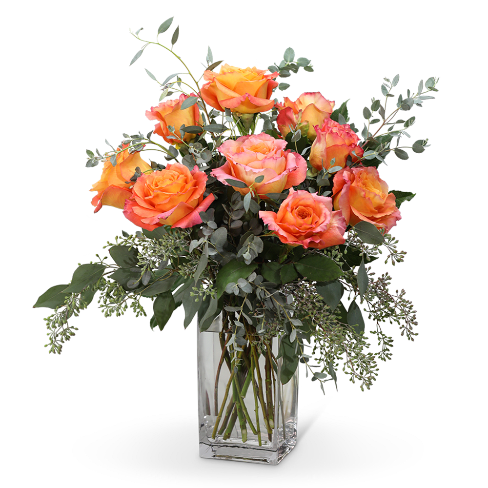 Free Spirit Roses (9) - Free Spirit roses know no bounds! They are a long-lasting treat for the senses. Their unique tones of color range from orange, peach, persimmon, and pink, often all in one bloom! Their scent will fill and brighten any room. This design features 9 Free Spirit Roses, accented with complementing green foliage. This design is perfect for any occasion! 