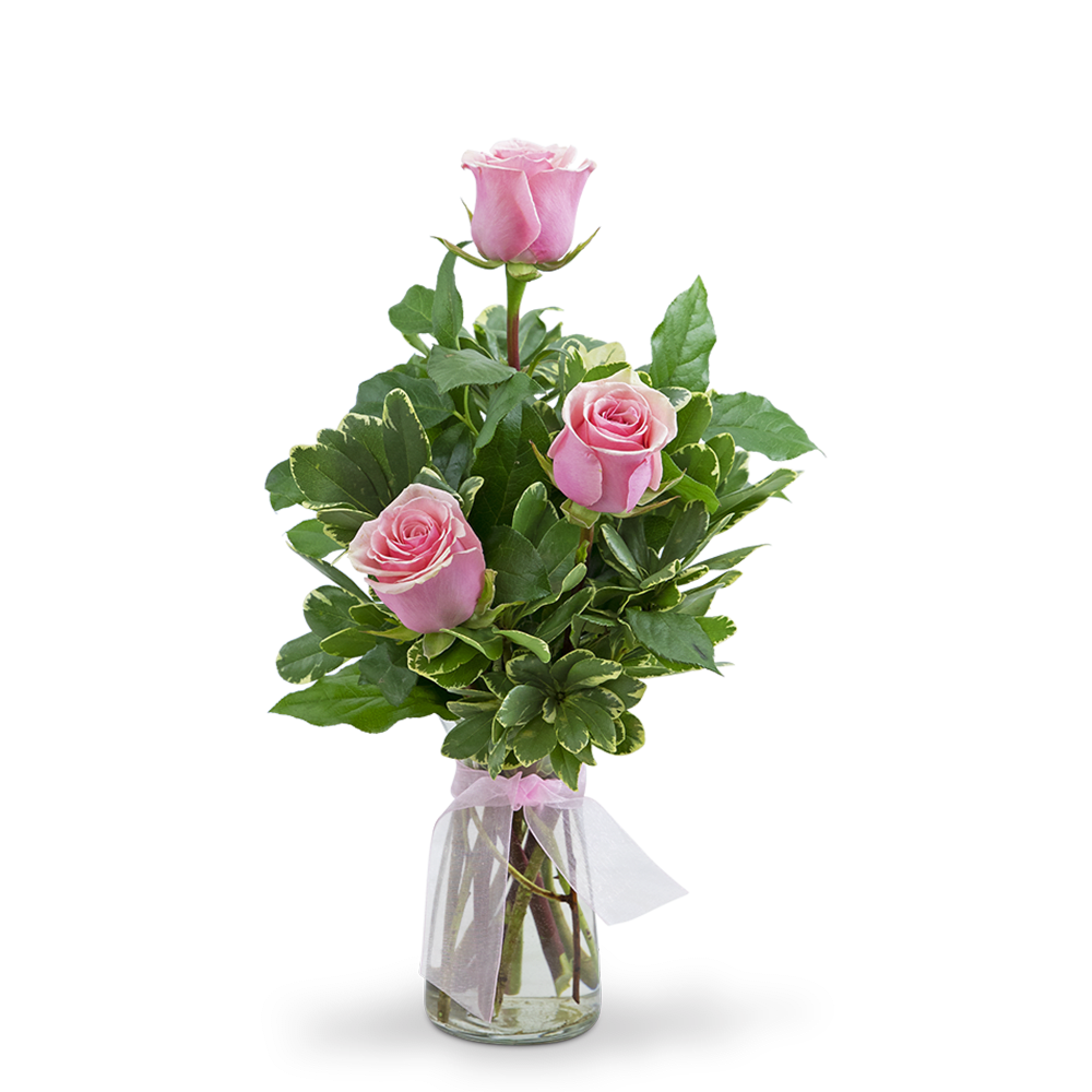 Baby Girl Bliss - Everyone is crazy about our pink roses! Pink roses symbolize femininity, elegance, grace, and sweetness, perfect for welcoming a new baby girl. Send Baby Girl Bliss to celebrate and welcome a new baby girl to the family. This 3 pink rose arrangement, along with the perfect greens, will be sure to make someone's day very special.