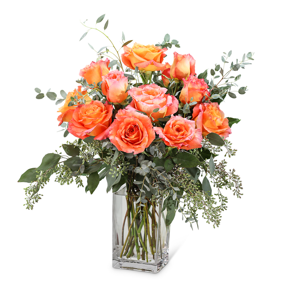 Free Spirit Roses (12) - Free Spirit roses know no bounds! They are a long-lasting treat for the senses. Their unique tones of color range from orange, peach, persimmon, and pink, often all in one bloom! Their scent will fill and brighten any room. This design features a dozen Free Spirit Roses, accented with complementing green foliage. This design is perfect for any occasion! 