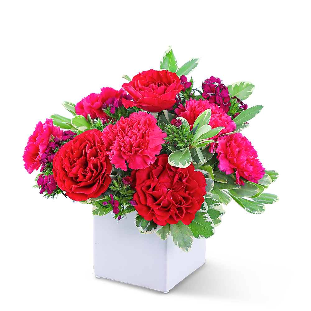 Red and pink floral arrangement in a white square vase