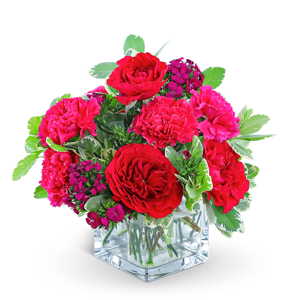 Red roses and pink carnations in a clear square vase