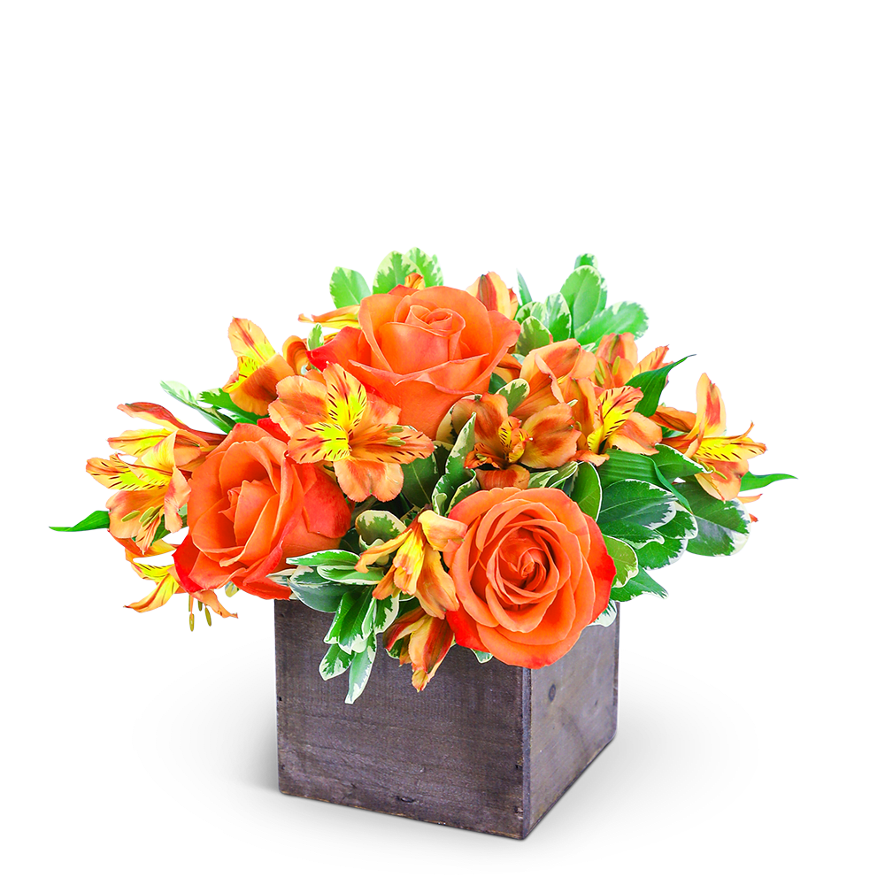 Rosy Tangerine - Rosy Tangerine includes an assortment of long-lasting Roses, Alstroemeria, and premium foliage. It brings together bright, bold colors of orange and green to create a stunning display in a rustic wood box container. Our hand-designed arrangement is a classic way to send your best wishes and is perfect for any occasion. Energize your day with the bright, fresh colors of Rosy Tangerine Twist.