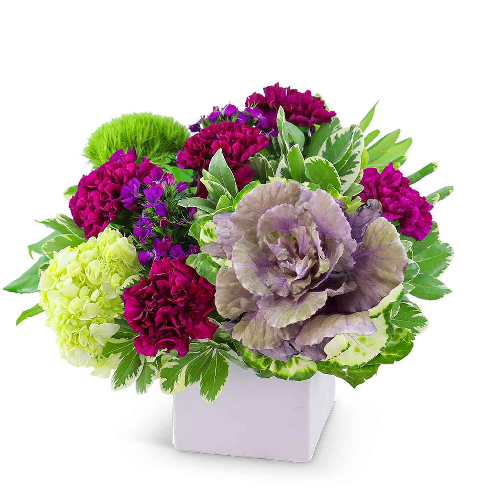 Verdant Verve - The Verdant Verve flower bouquet is a stunning gift for any occasion and is a very popular choice! This elegant design features Carnations, Kale, Hydrangea, Dianthus, and premium foliage. It's the perfect accent for an end table, coffee table, or desk and will brighten any room. This spectacular arrangement is hand-designed by our expert florists in a white ceramic cube.