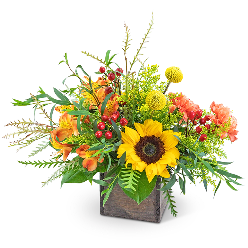 Sunflower and orange floral arrangement in a wooden cube vase