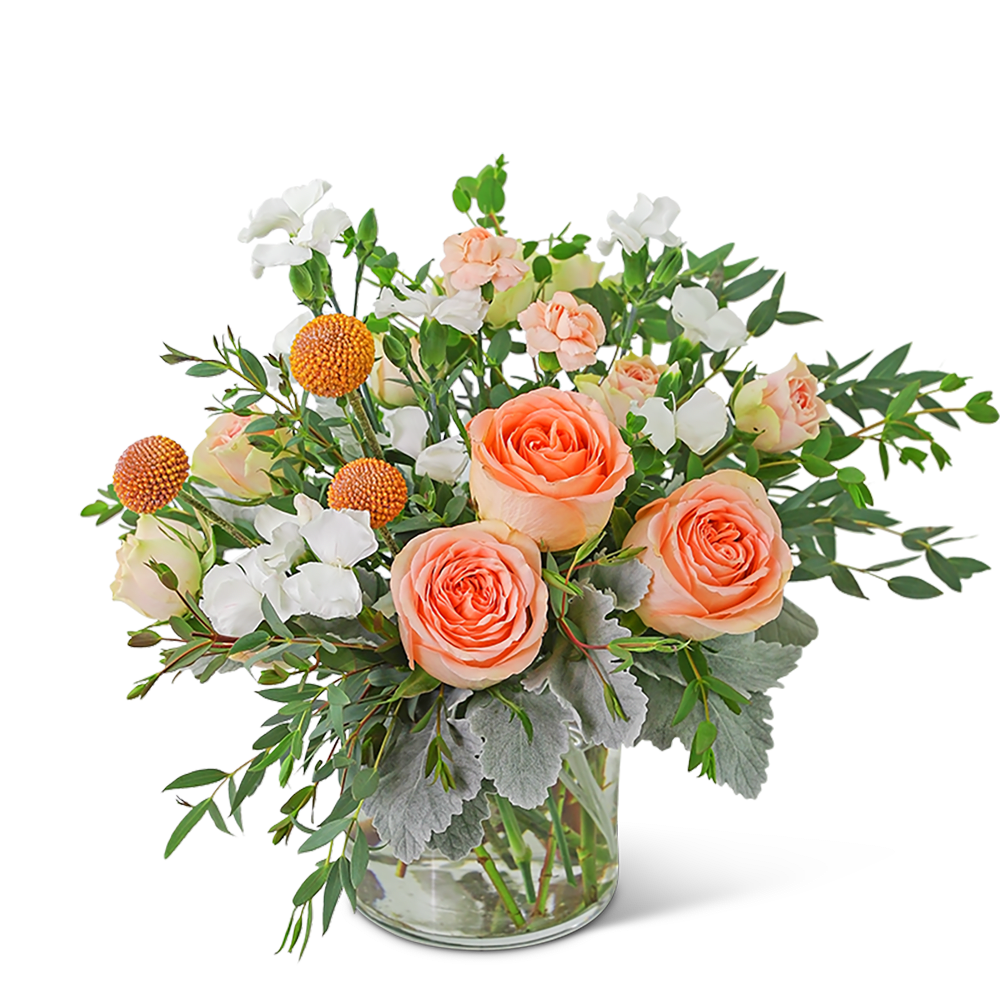 Bright Honeycrisp - Who wouldn’t love this sweet arrangement of peaches and creams? Bright Honeycrisp contains roses, carnations, Crespedia, and is accented with a variety of foliage. Whether for a birthday, new baby, or get well gift, this will look perfect on a coffee table or desk!