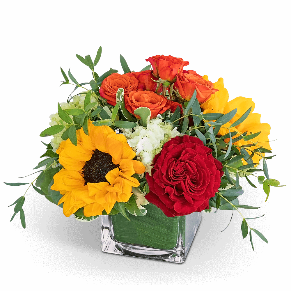 Mixed bouquet with roses and sunflowers in a square glass vase