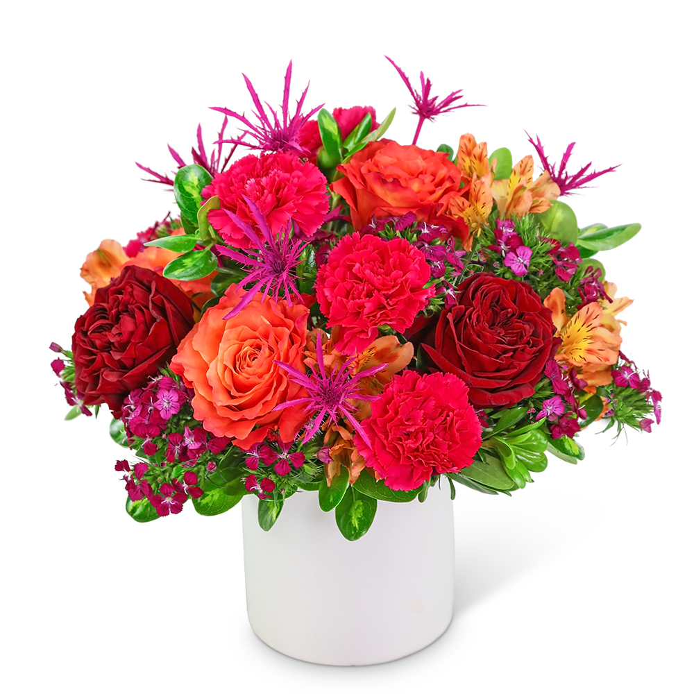Paradise Found - Wouldn’t it be paradise to receive this colorful arrangement? Paradise Found is a vibrant collection of red and orange roses, carnations, alstroemeria, and dianthus accented with a variety of foliage in a white ceramic container. This eye-catching design would add a pop of color to any home or office. We offer the freshest flowers and same-day local flower delivery in most cases.