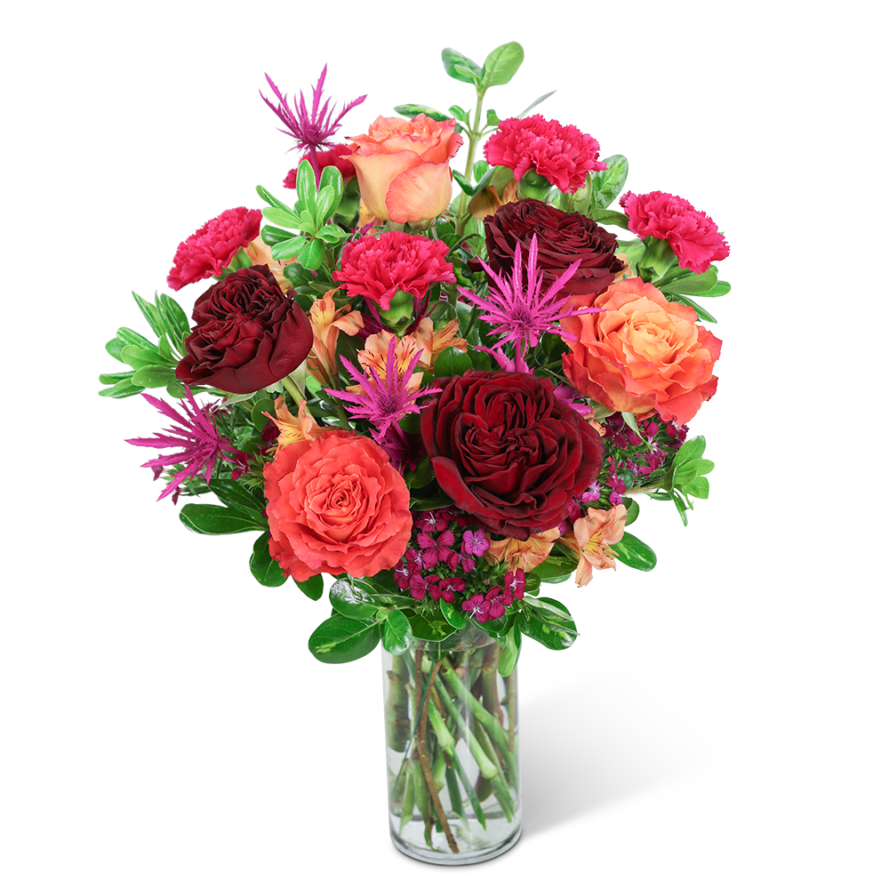 Mango Playa - Add bold color to your life with our Mango Playa design. Our hand-arranged floral design is the perfect way to show someone special how much you care. It features gorgeous reds, pinks, and oranges in a combination of Roses, Carnations, Alstroemeria, Dianthus, and premium foliage. This sweet, colorful arrangement is the perfect statement piece for a dining room table or kitchen island.