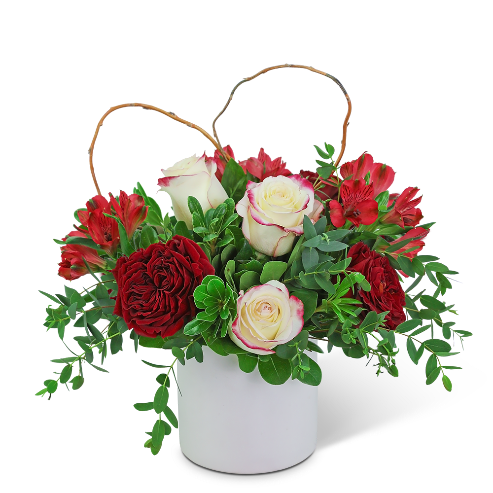 Red and white roses with red alstroemeria in a white container