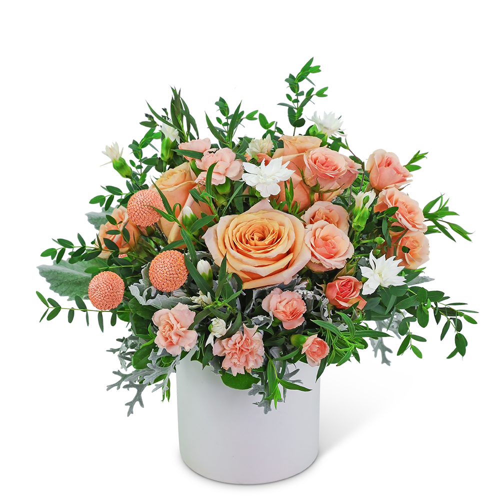 Blossoming Ballet - Our Blossoming Ballet design is a sweet way to show someone you care. Delicate peach roses bring life to this arrangement, as Carnations, Crespedia, and other premium flowers and foliage fill it out beautifully. If you’re looking for a birthday or anniversary gift that really expresses your love, look no further than our Blossoming Ballet design.