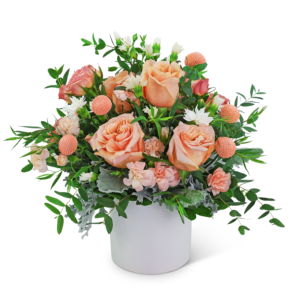Peach roses and pink carnations in a white vase