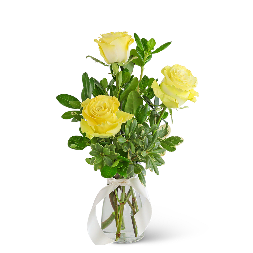 Three Yellow Roses - A bouquet of yellow roses will make your recipient smile from ear to ear. Whether you're looking for a gift for a new baby or to cheer up your loved one, local flower delivery can help! This design features yellow roses with premium foliage and tied with a ribbon in a clear vase. Bring a little sunshine to someone's life with our Three Yellow Roses bouquet.