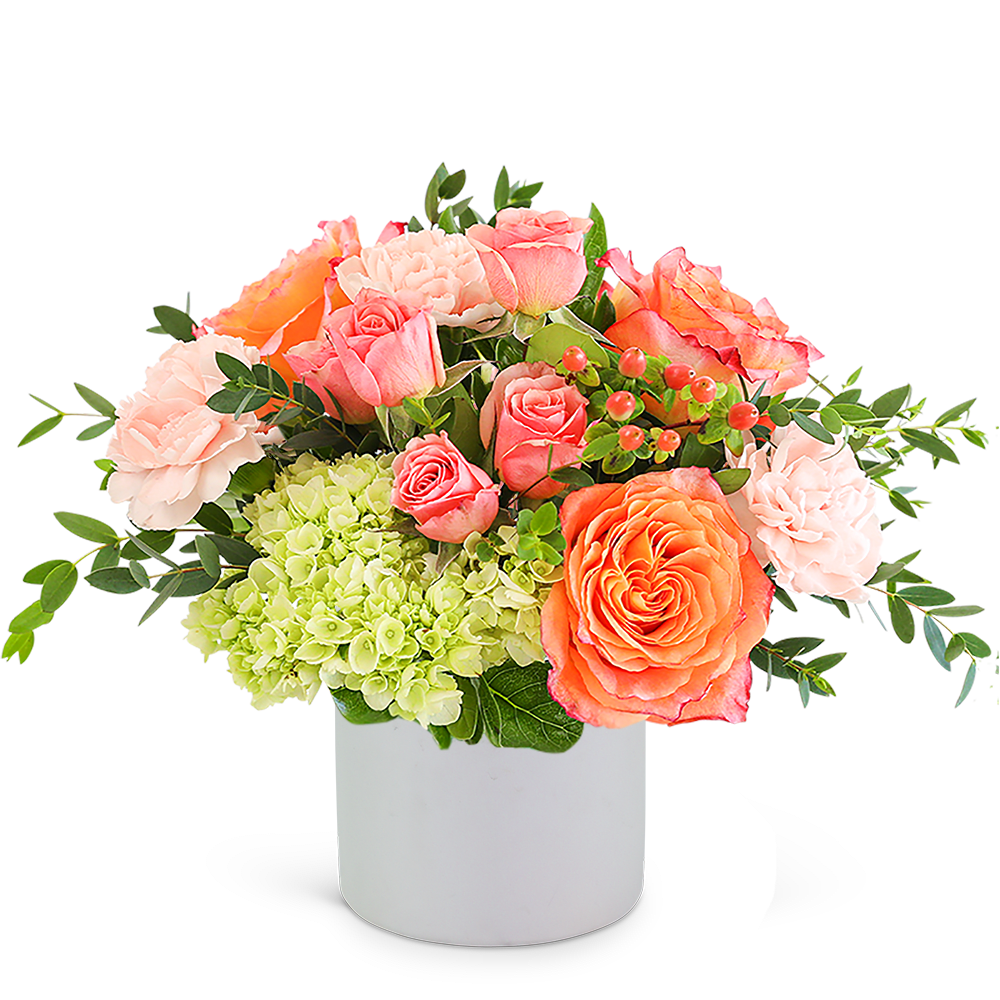 Pink and peach roses with hydrangeas in a white vase