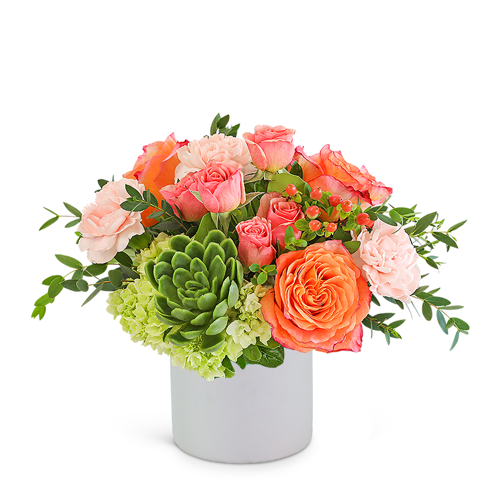 Coral and pink roses with green hydrangea in a white vase